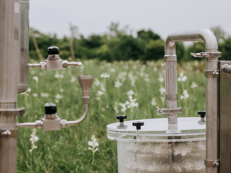 L'Oréal's exclusive green science-based extraction machine Osmobloom